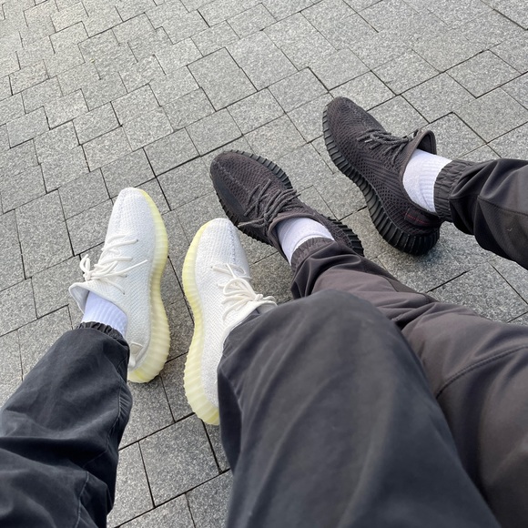 Meet your Posher, Nico - Picture 4 of 7